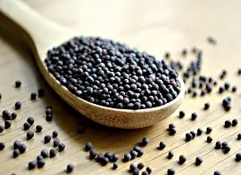 MUSTARD SEEDS