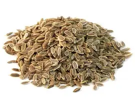 DILL SEEDS