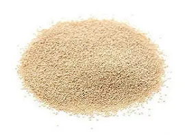 POPPY SEEDS