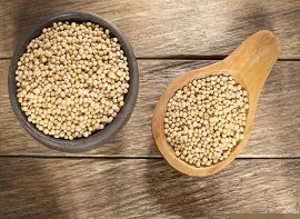 YELLOW MUSTARD SEEDS