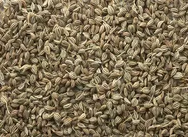 AJWAIN SEEDS