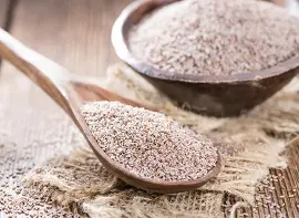 PSYLLIUM SEEDS (ISABGOL)