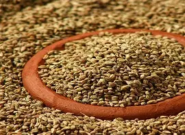 CAROM_AJWAIN SEEDS